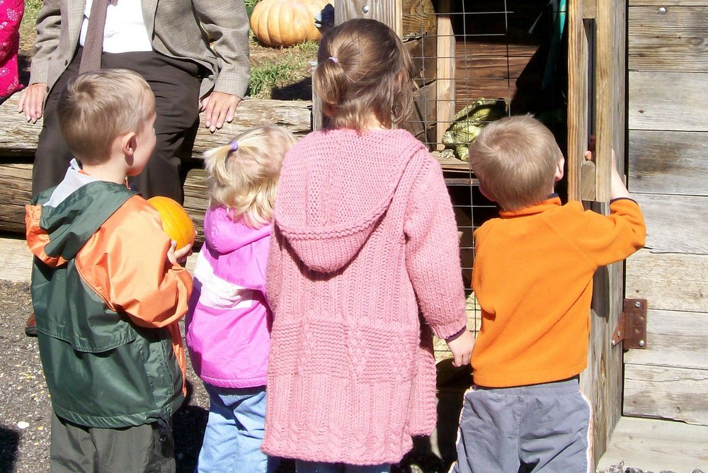 Walters Pumpkin Patch